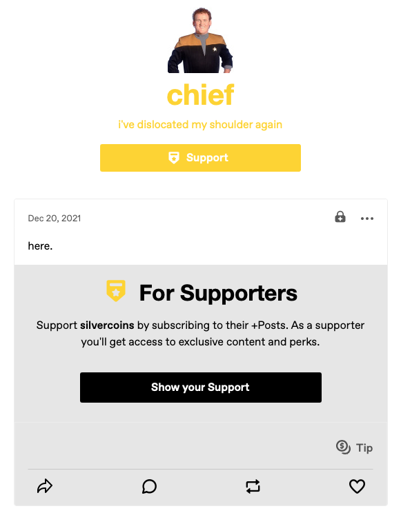 The blog view for silvercoins. Below the title is a large yellow button that reads: Support. One post is visible below. It's a +Post with an overlay.