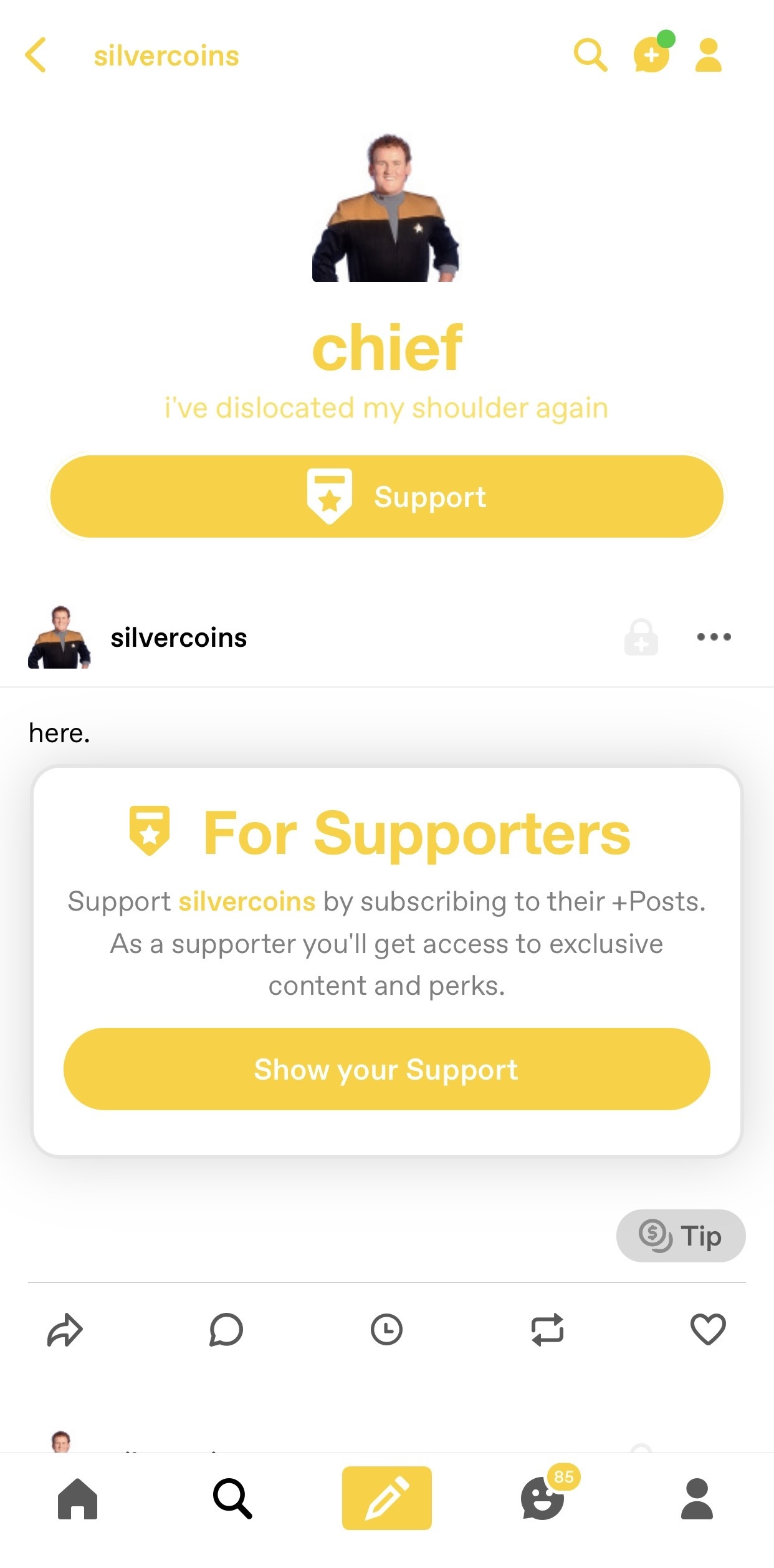 The view of silvercoins in the iOS app. There's a large yellow button that reads: Support. A similar button appears on the one post that's visible below.
