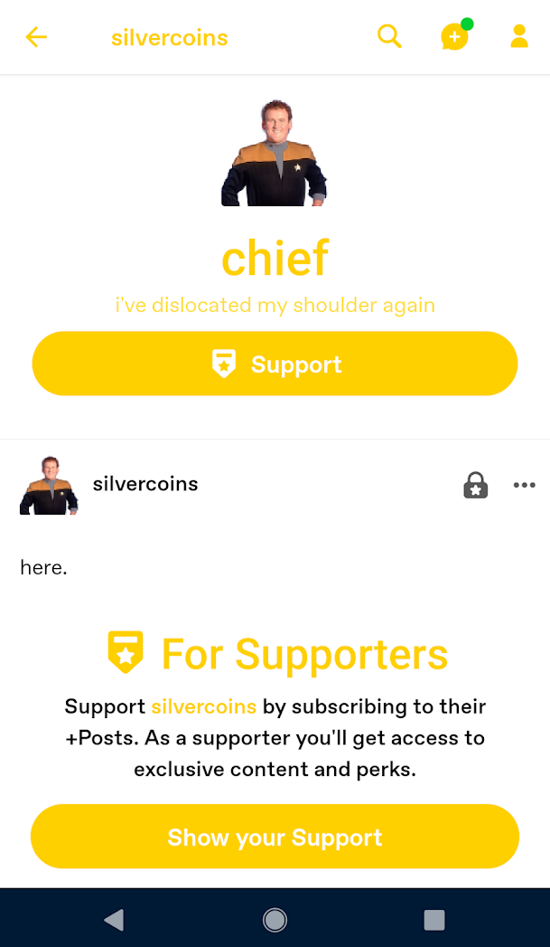 View of the blog silvercoins in the Android app. There's a large yellow button below their blog description that reads: Support.